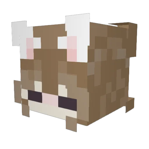 Constantiiin_ Minecraft avatar head, 3D render