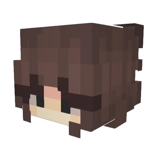 Constelli Minecraft avatar head, 3D render