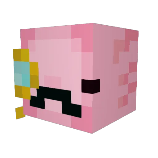 Consternoob Minecraft avatar head, 3D render