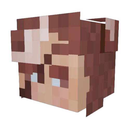 ConstructionFox Minecraft avatar head, 3D render