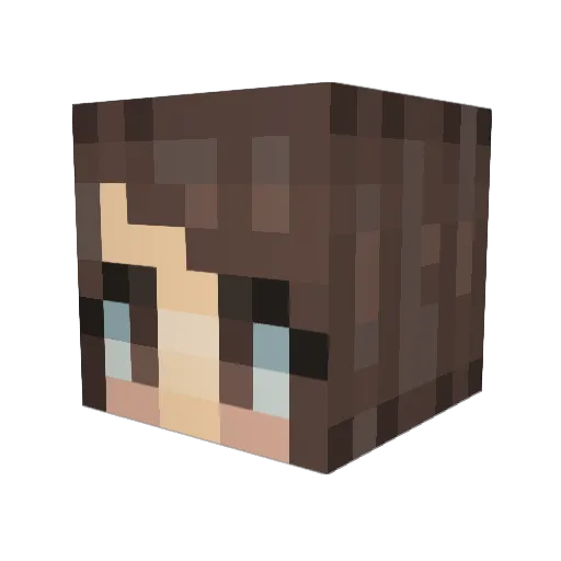 ConsultingTea Minecraft avatar head, 3D render