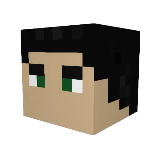 ContagiousStupid Minecraft avatar head, 3D render