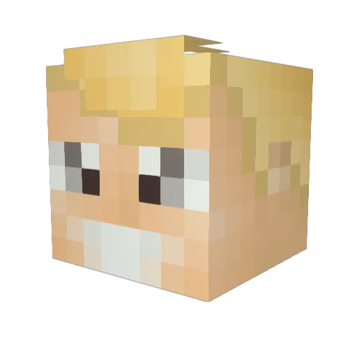 ContainsNuts Minecraft avatar head, 3D render