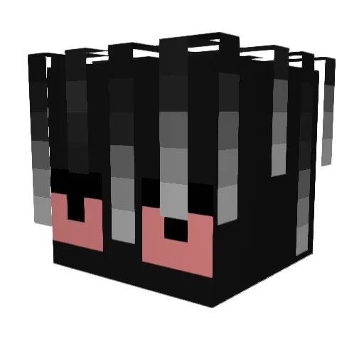 Contestants Minecraft avatar head, 3D render