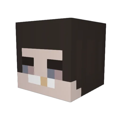 Continues Minecraft avatar head, 3D render