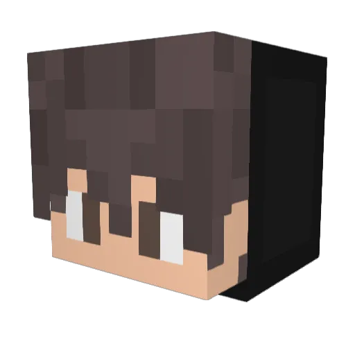 Contraaa_ Minecraft avatar head, 3D render
