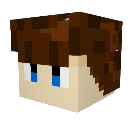 Controllerbird Minecraft avatar head, 3D render