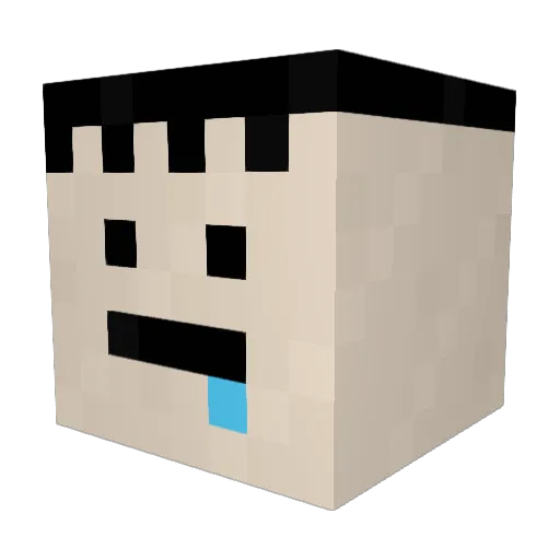 Contrulzee Minecraft avatar head, 3D render