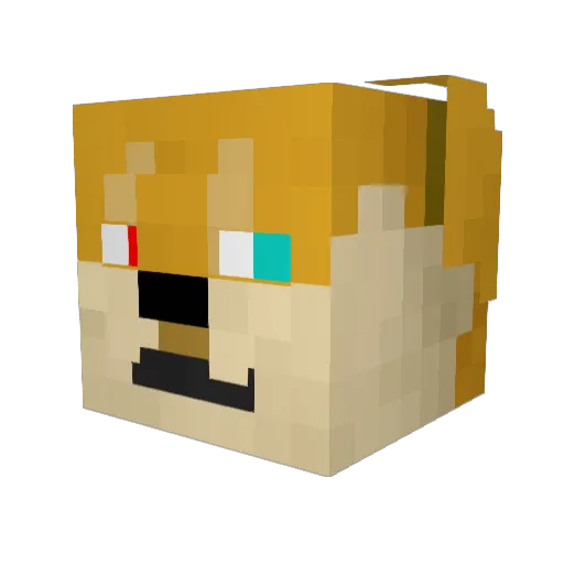 ConvexChinajj Minecraft avatar head, 3D render