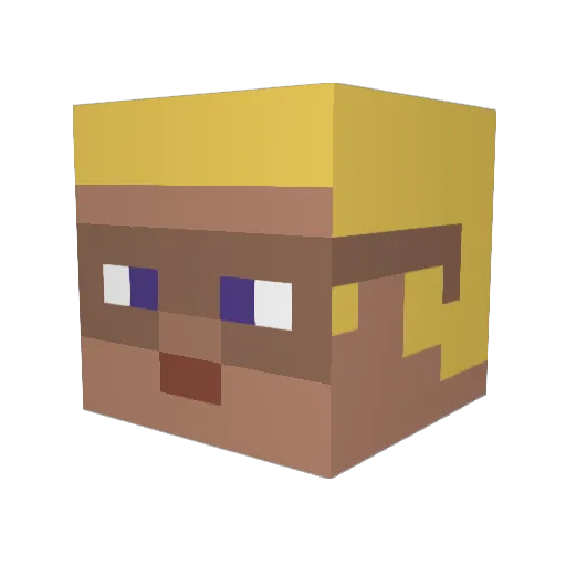 Convexity Minecraft avatar head, 3D render