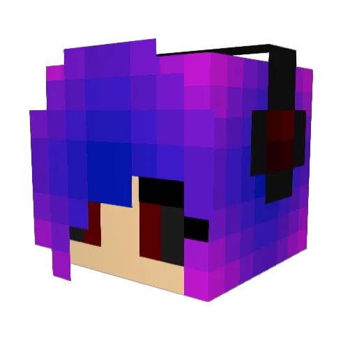 Conwolf64 Minecraft avatar head, 3D render