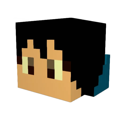 Coo1l Minecraft avatar head, 3D render