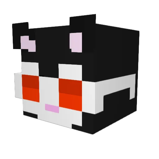 CooCat_25 Minecraft avatar head, 3D render