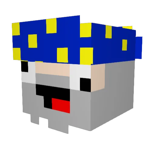 CooCooPants135 Minecraft avatar head, 3D render