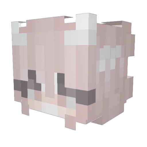 Coochie8000 Minecraft avatar head, 3D render