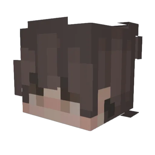 Coockiemanster Minecraft avatar head, 3D render