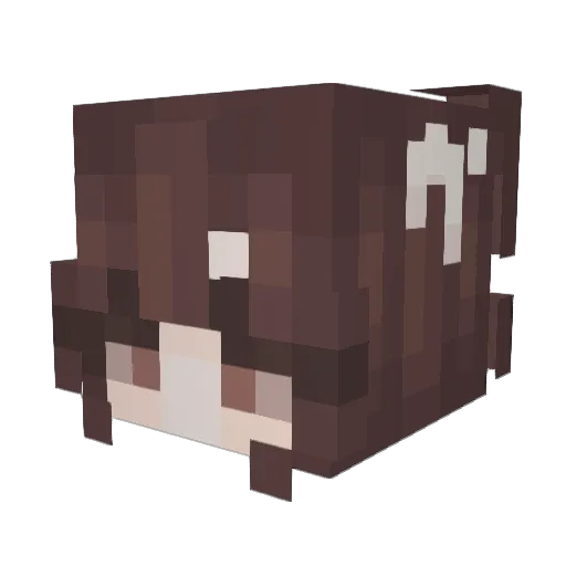 Coocy Minecraft avatar head, 3D render