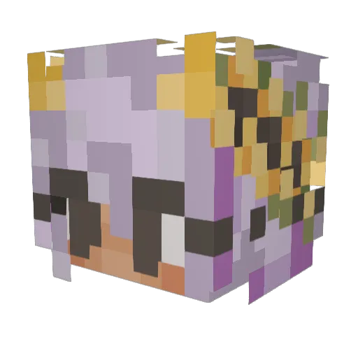Cook0513 Minecraft avatar head, 3D render