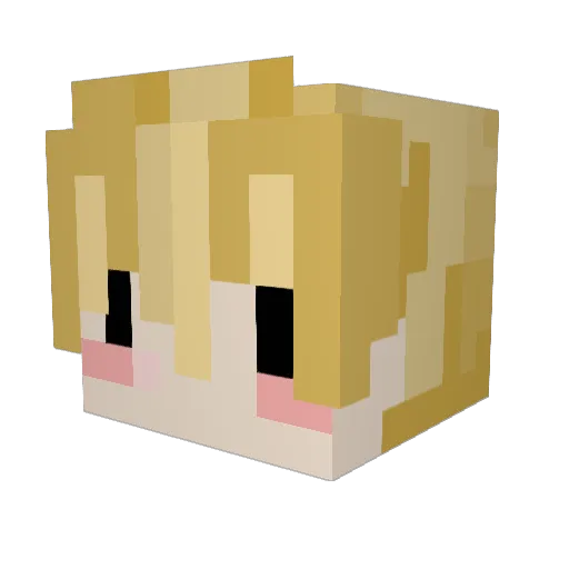 CookTheKeys Minecraft avatar head, 3D render