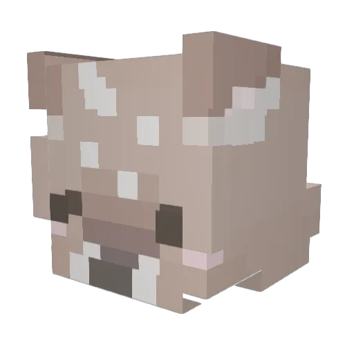 CookedMax Minecraft avatar head, 3D render
