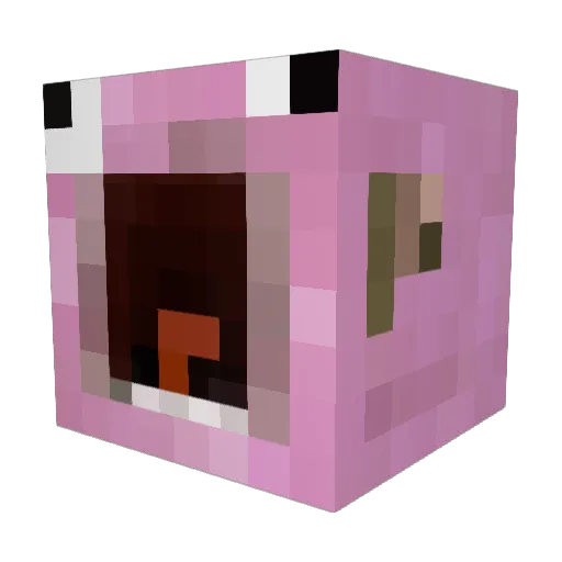 CookedSushi17 Minecraft avatar head, 3D render