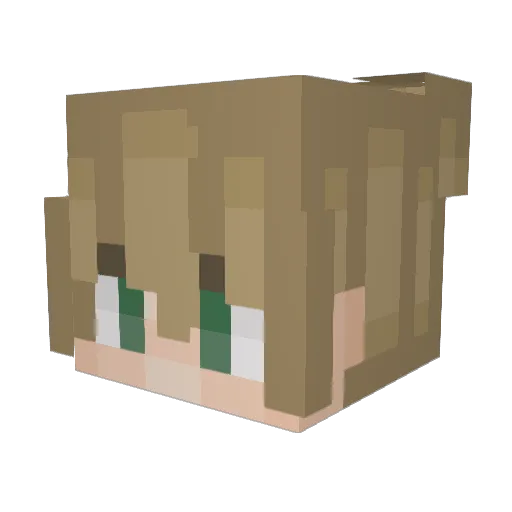 CookiEater99 Minecraft avatar head, 3D render