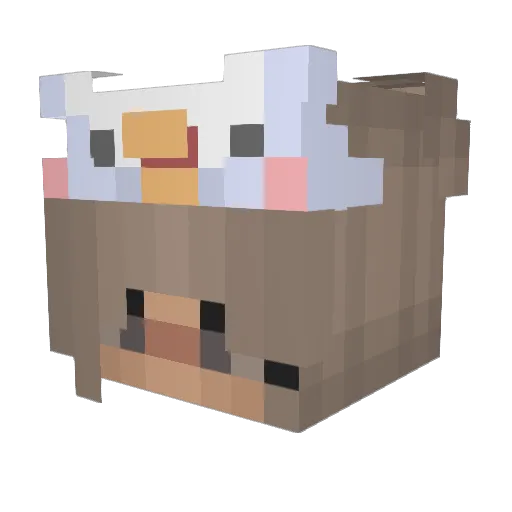 Cookie0602 Minecraft avatar head, 3D render