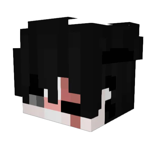 Cookie0utlaw Minecraft avatar head, 3D render