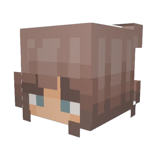 Cookie17_2 Minecraft avatar head, 3D render