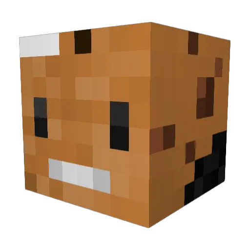 Cookie180800 Minecraft avatar head, 3D render
