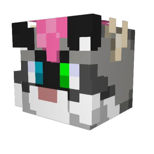 Cookie2000 Minecraft avatar head, 3D render