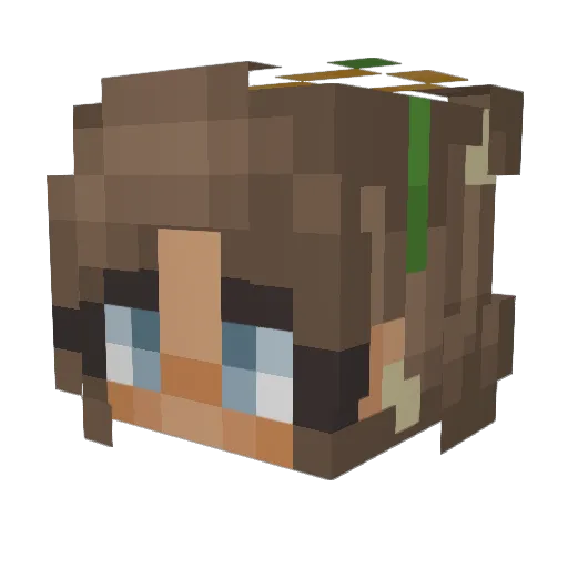 Cookie3359 Minecraft avatar head, 3D render