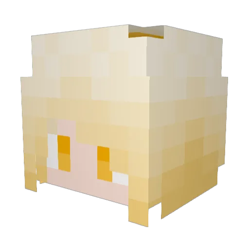 Cookie481 Minecraft avatar head, 3D render