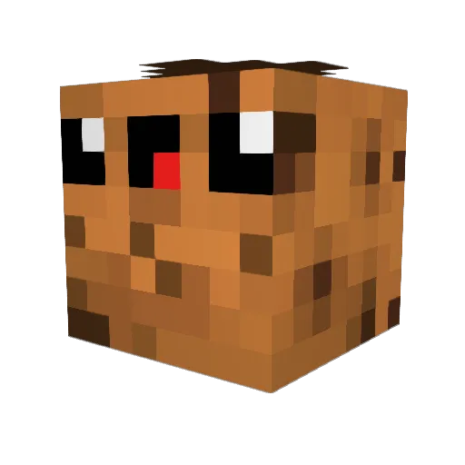 Cookie771 Minecraft avatar head, 3D render