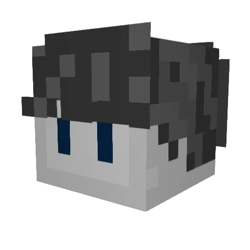 Cookie8Cake Minecraft avatar head, 3D render