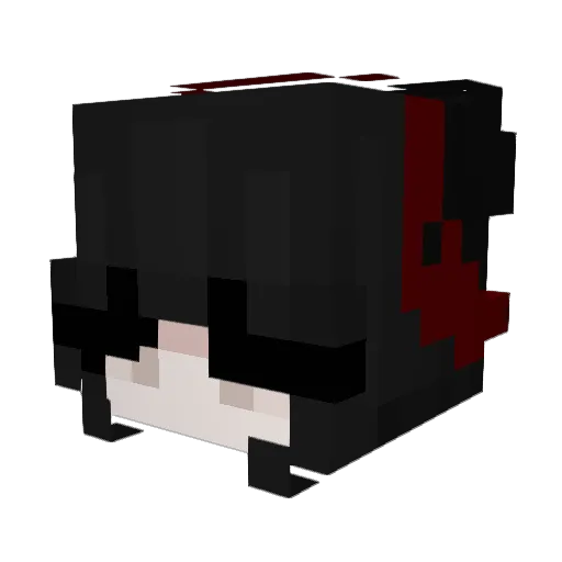CookieAeri1 Minecraft avatar head, 3D render