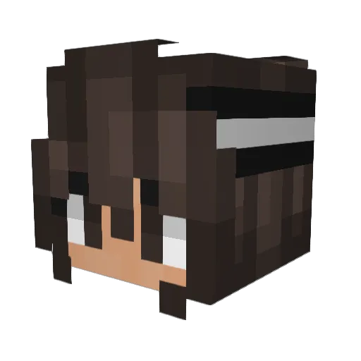 CookieAndenDK Minecraft avatar head, 3D render