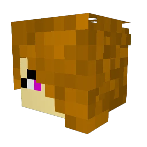 CookieChan2005 Minecraft avatar head, 3D render