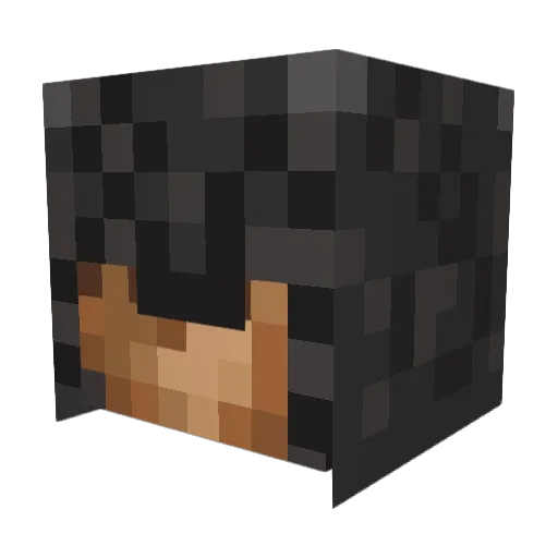CookieChris98 Minecraft avatar head, 3D render
