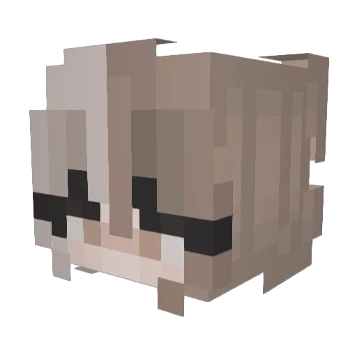 CookieComet13 Minecraft avatar head, 3D render