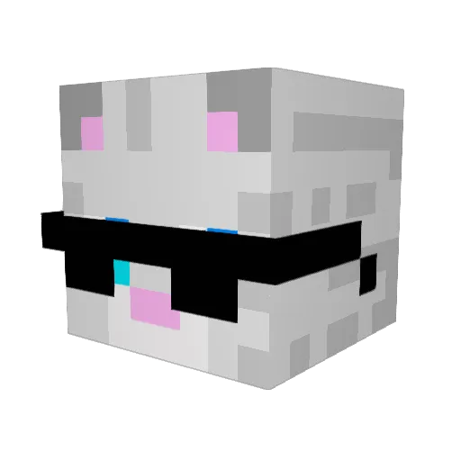 CookieCyat Minecraft avatar head, 3D render