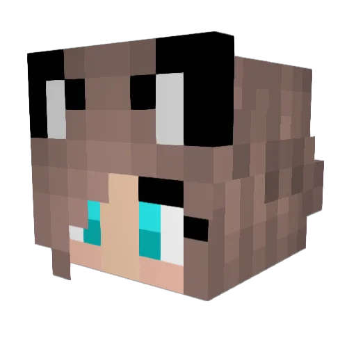 CookieDough06 Minecraft avatar head, 3D render