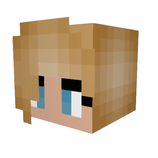 CookieDraws918 Minecraft avatar head, 3D render
