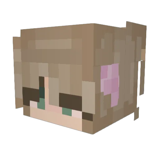 CookieKab0b Minecraft avatar head, 3D render