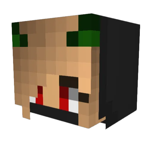 CookieKitty5 Minecraft avatar head, 3D render