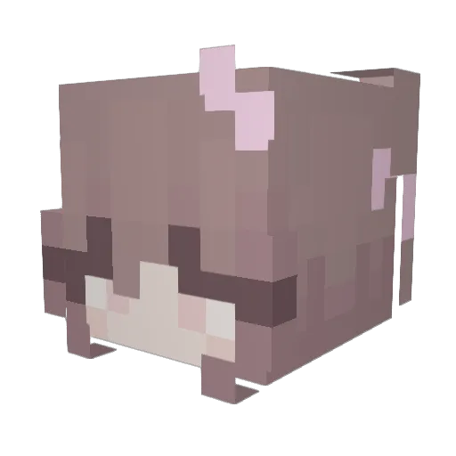 CookieLulu_ Minecraft avatar head, 3D render