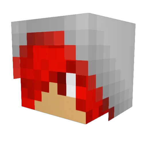CookieMan17 Minecraft avatar head, 3D render