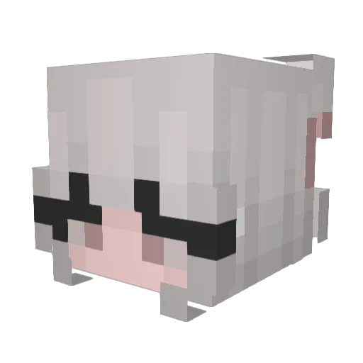 CookieMarian Minecraft avatar head, 3D render