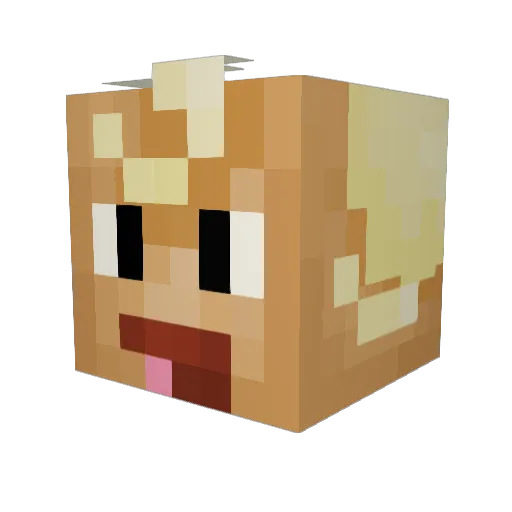 CookieMary Minecraft avatar head, 3D render