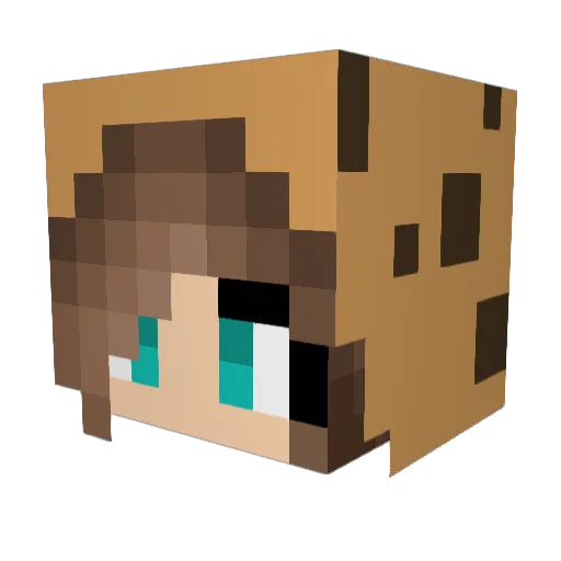 CookieMonsta254 Minecraft avatar head, 3D render